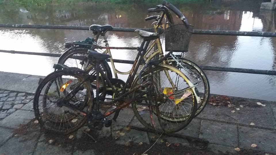 Capturi de biciclete superbe
