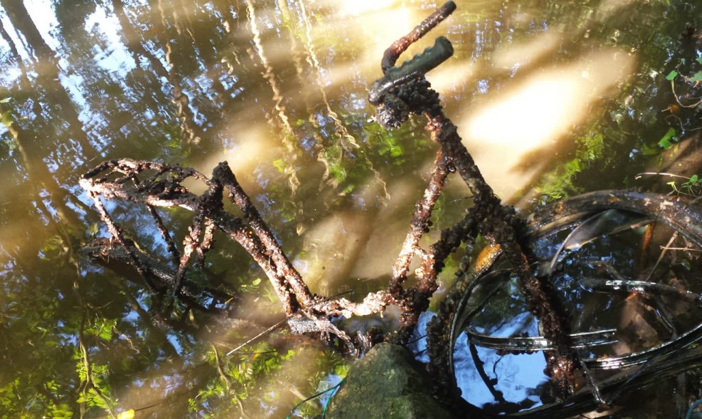 Bicicletă acoperită de alge în apă