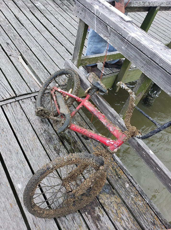 Bicicletă de copii ruginită și acoperită de vegetație