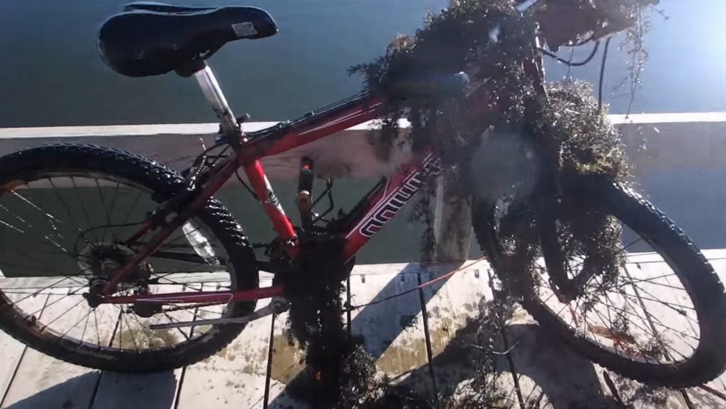 Bicicletă acoperită de alge