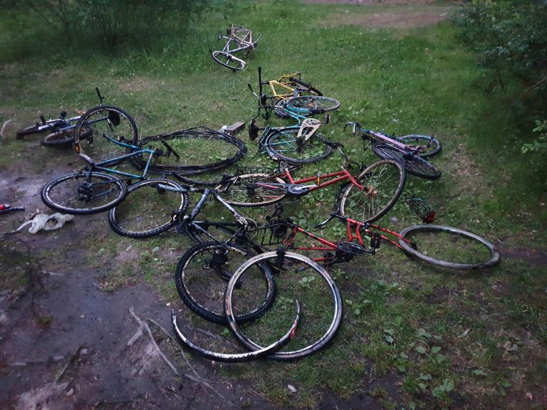 opt biciclete dintr-un singur pescuit, pe iarbă