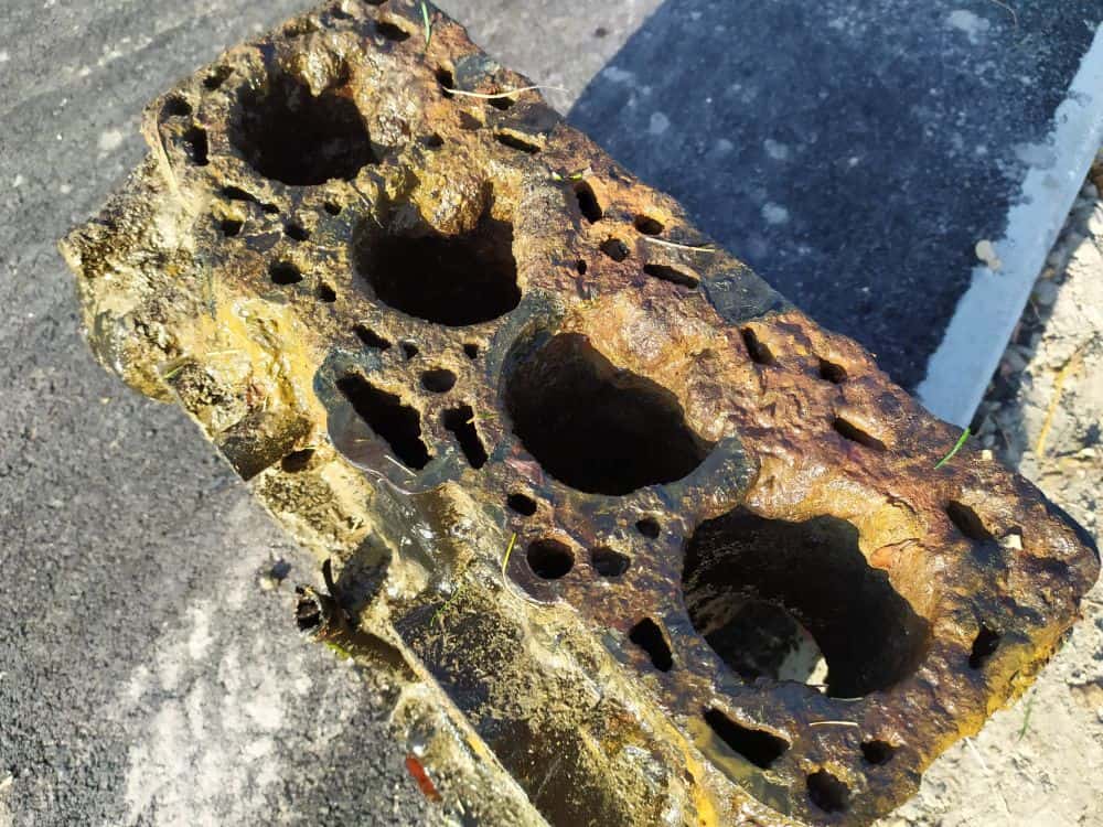Motor corodat