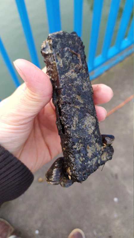 Încărcător găsit cu magnetul de căutare în Malý Dunaj